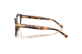 Side view Ralph Lauren RL6256U (6089)