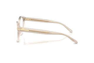 Side view Ralph Lauren RL6256U (6112)