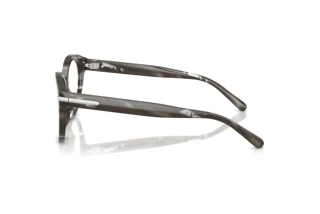 Side view Ralph Lauren RL6256U (6175)