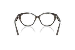 Rear view Ralph Lauren RL6256U (6175)