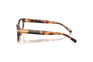 Side view Ralph Lauren RL6257U (6089)