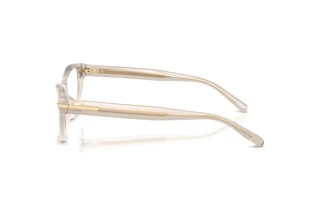 Side view Ralph Lauren RL6257U (6112)