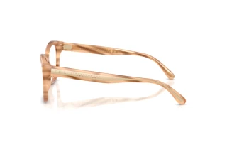 Side view Ralph Lauren RL6259U (6179)