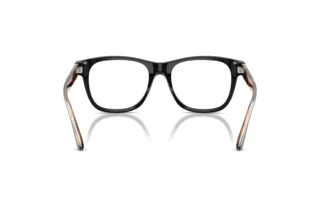 Rear view Ralph Lauren RL6260U (5001)