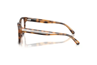 Side view Ralph Lauren RL6260U (6089)