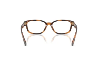 Rear view Ralph Lauren RL6261U (6089)