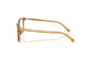 Side view Ralph Lauren RL6264U (6185)