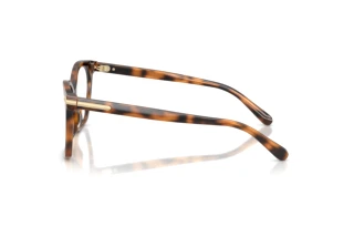 Side view Ralph Lauren RL6266U (6089)