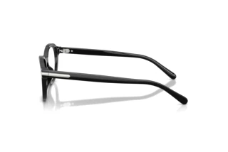 Side view Ralph Lauren RL6267U (5001)