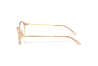 Side view Ralph Lauren RL6269U (6062)
