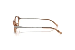 Side view Ralph Lauren RL6269U (6377)