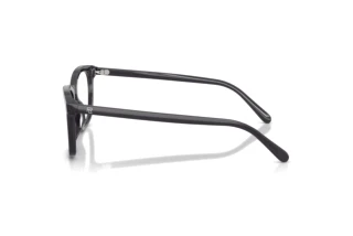 Side view Ralph Lauren RL6270U (5965)