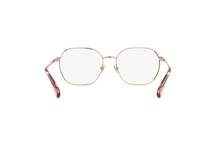 Rear view Ralph RA6051 (9336)