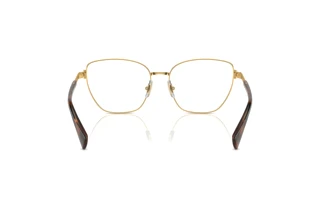 Rear view Ralph RA6060 (9004)