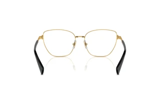 Rear view Ralph RA6060 (9443)