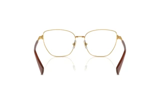 Rear view Ralph RA6060 (9458)