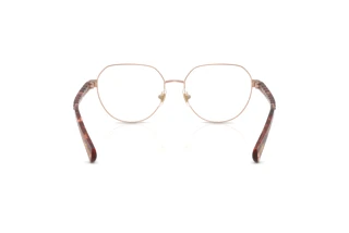 Rear view Ralph RA6065 (9427)