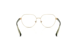 Rear view Ralph RA6065 (9494)