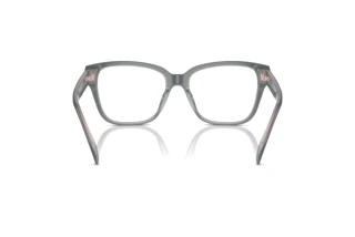 Rear view Ralph RA7162U (6066)