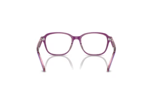 Rear view Ray-Ban Kids RY1627 (3944)