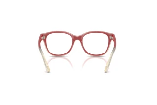 Rear view Ray-Ban Kids RY1950 (7204)