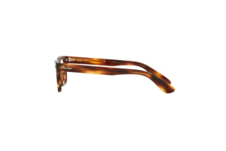 Side view Ray-Ban Kids JUNIOR BURBANK (RY9083V - 3888)