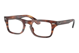 Front view Ray-Ban Kids JUNIOR BURBANK (RY9083V - 3888)