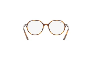 Rear view Ray-Ban Kids JUNIOR THALIA (RY9095V - 3685)