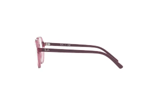 Side view Ray-Ban Kids JUNIOR THALIA (RY9095V - 3898)