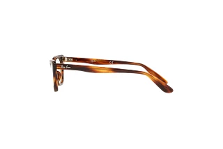 Side view Ray-Ban Kids MISS BURBANK (RY9099V - 3888)