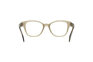 Rear view Ray-Ban RX0880 (8178)