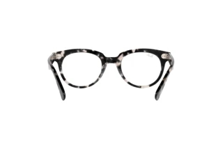 Rear view Ray-Ban RX2199V (8117)