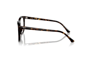 Side view Ray-Ban RX2210V (2012)