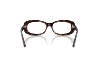 Rear view Ray-Ban RX2221V (2012)