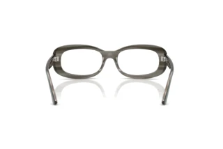 Rear view Ray-Ban RX2221V (8453)