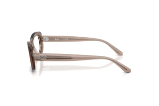Side view Ray-Ban RX2221V (8457)