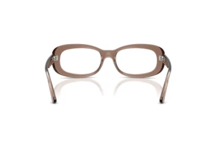 Rear view Ray-Ban RX2221V (8457)