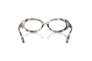 Rear view Ray-Ban RX2223V (8480)