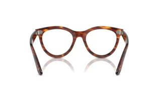 Rear view Ray-Ban WAYFARER WAY (RX2241V - 2144)