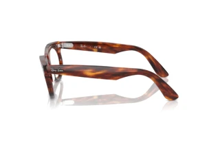 Side view Ray-Ban WAYFARER OVAL (RX2242V - 2144)