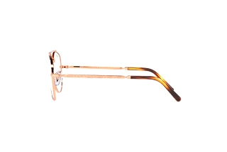 Side view Ray-Ban NEW AVIATOR (RX3625V - 3094)