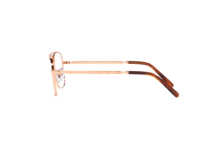 Side view Ray-Ban NEW CARAVAN (RX3636V - 3094)