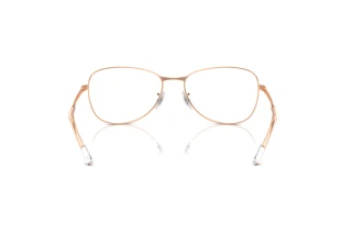 Rear view Ray-Ban RX3733V (3094)