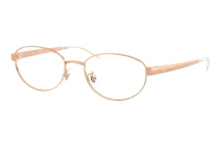 Front view Ray-Ban RX3774VD (3094)
