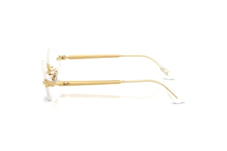 Side view Ray-Ban RX3929V (2500)