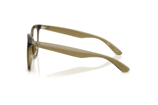 Side view Ray-Ban RX4379VD (8445)