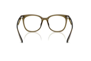 Rear view Ray-Ban RX4379VD (8445)