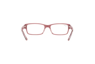 Rear view Ray-Ban RX5169 (8120)
