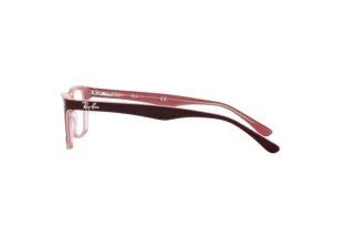 Side view Ray-Ban RX5228 (8120)