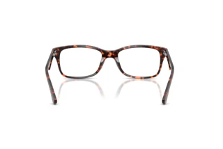 Rear view Ray-Ban RX5228 (8423)